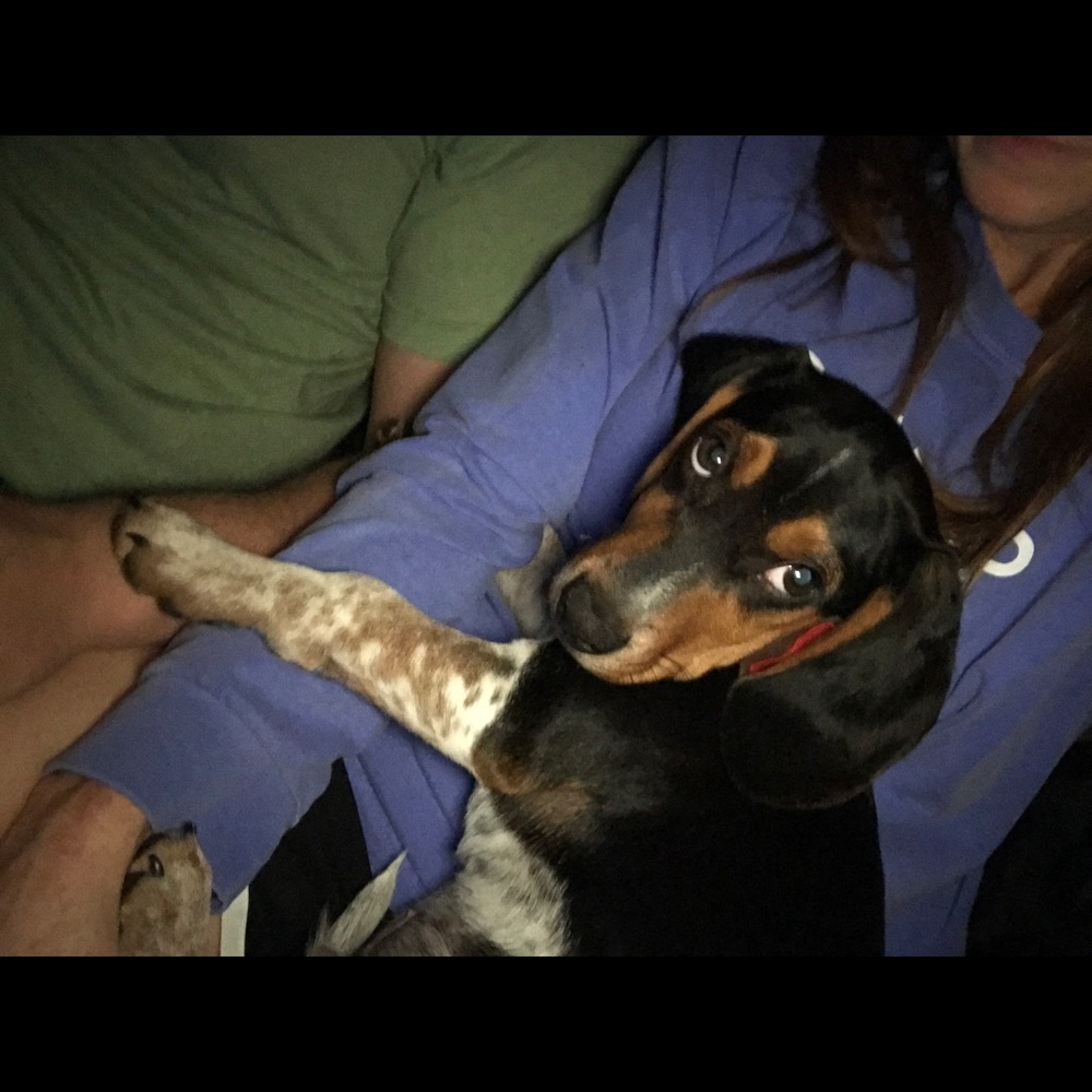 Meet your Posher, Sara